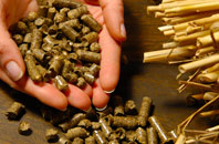 free Chainhurst biomass boiler quotes